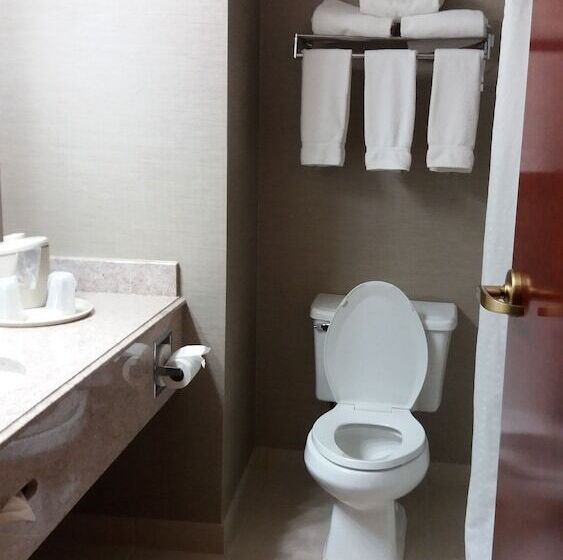 Holiday Inn Express Hotel & Suites Waterford, An Ihg