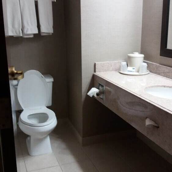 Holiday Inn Express Hotel & Suites Waterford, An Ihg