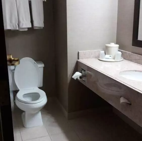 Holiday Inn Express Hotel & Suites Waterford, An Ihg