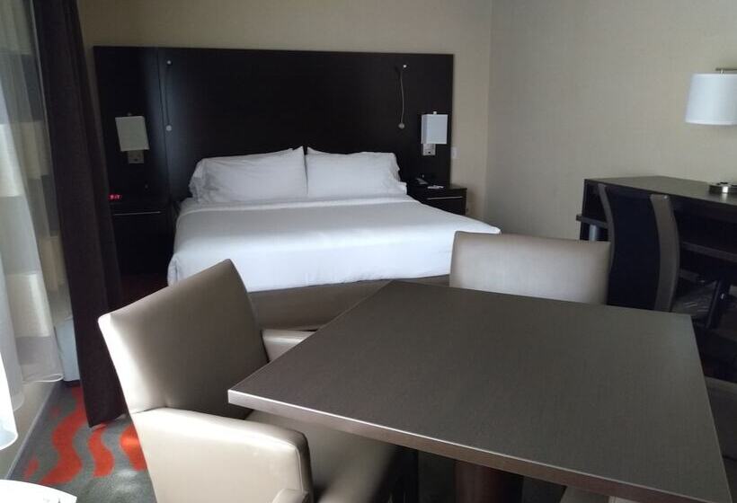 Holiday Inn Express Hotel & Suites Waterford, An Ihg