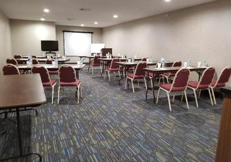 酒店 Holiday Inn Express Birch Run Frankenmuth Area, An Ihg