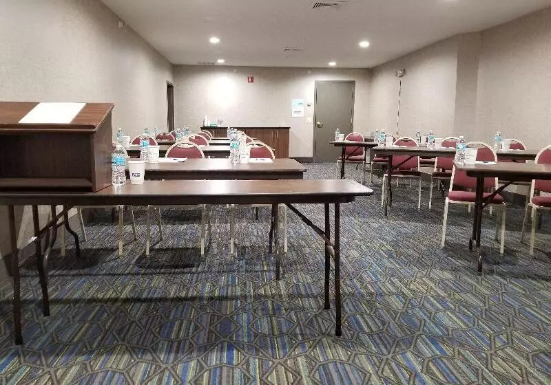 酒店 Holiday Inn Express Birch Run Frankenmuth Area, An Ihg