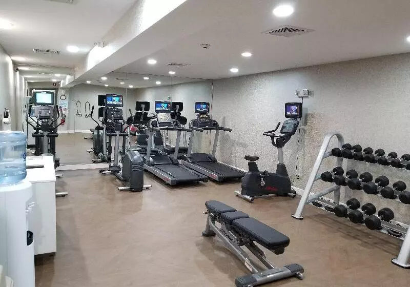 酒店 Holiday Inn Express Birch Run Frankenmuth Area, An Ihg