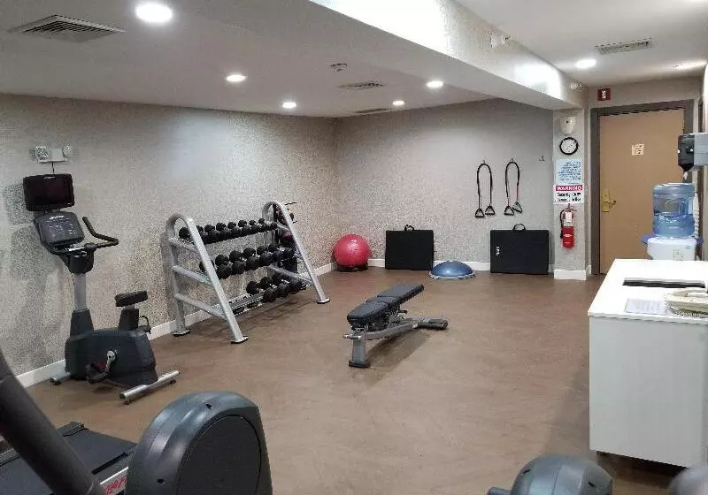 酒店 Holiday Inn Express Birch Run Frankenmuth Area, An Ihg