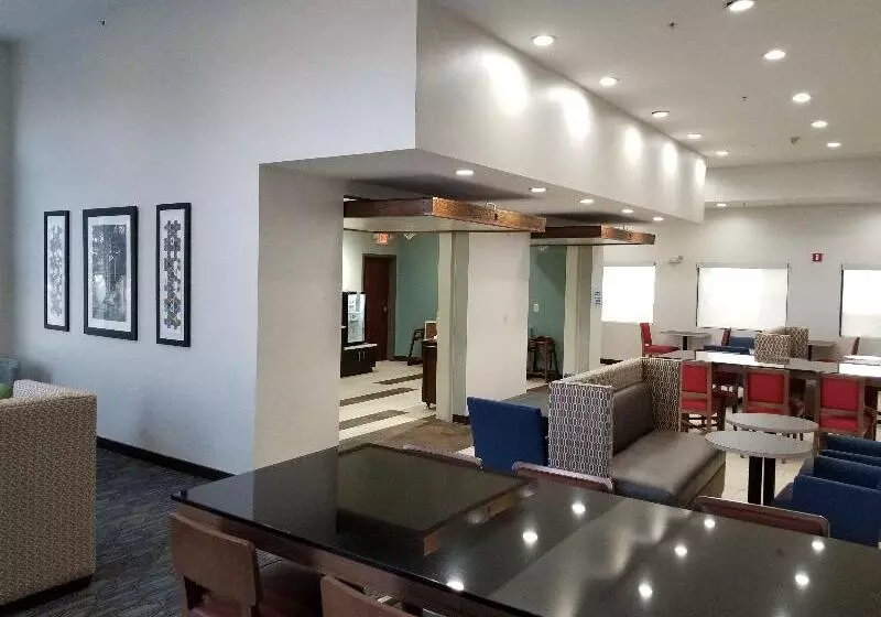 酒店 Holiday Inn Express Birch Run Frankenmuth Area, An Ihg