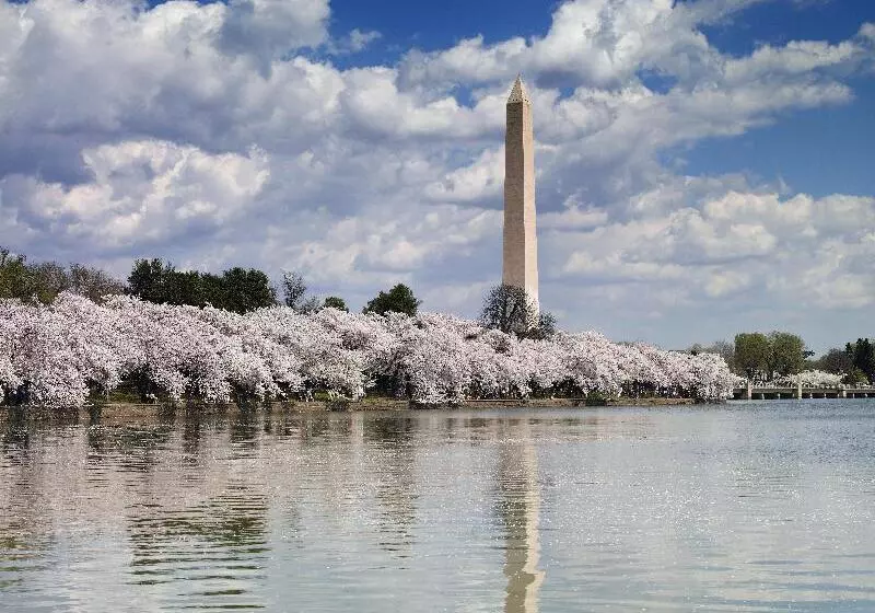 Отель Holiday Inn Express I 95 Capitol Beltway Largo, An Ihg