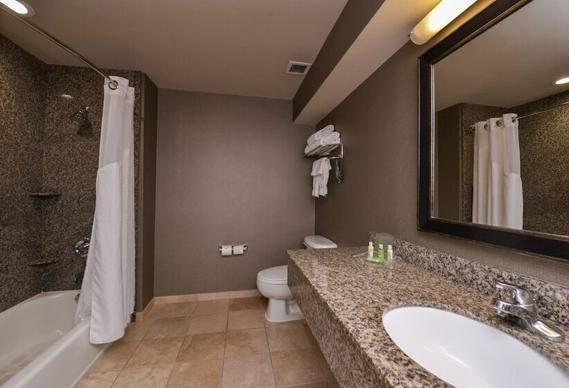 ホテル Holiday Inn Ontario Airport California, An Ihg