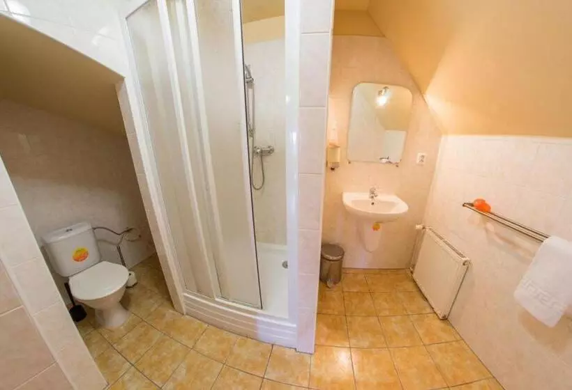 هتل Penzion Pivovar Volt