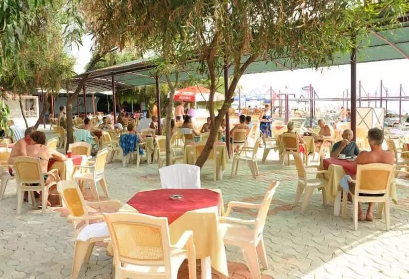 Serenis Hotel   All Inclusive