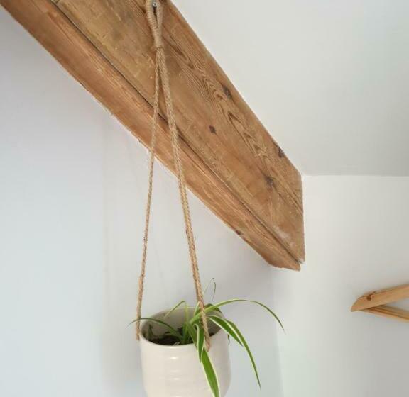 Albergue Selkies Nqy