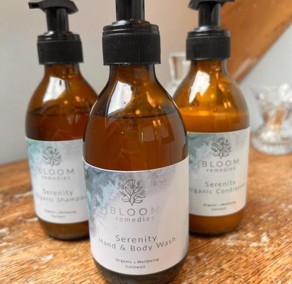 Albergue Selkies Nqy