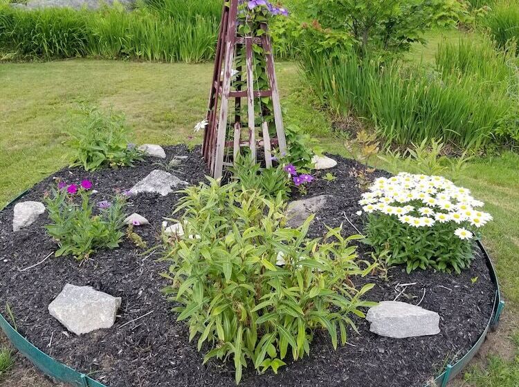 White Mountain Motel And Cottages