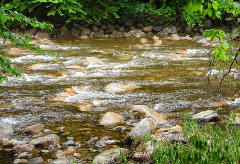 White Mountain Motel And Cottages