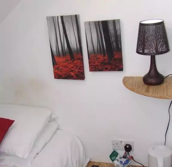 Bed and Breakfast Alexandra Guest House