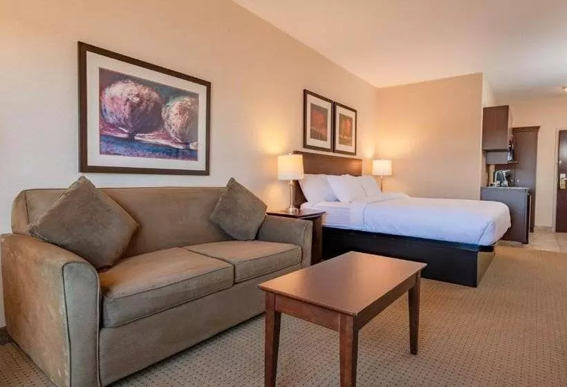 酒店 Canalta High River