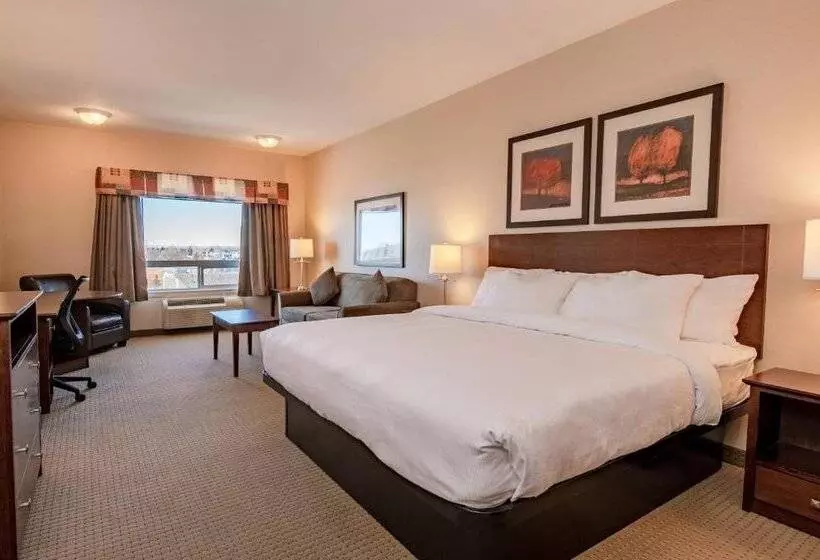 酒店 Canalta High River