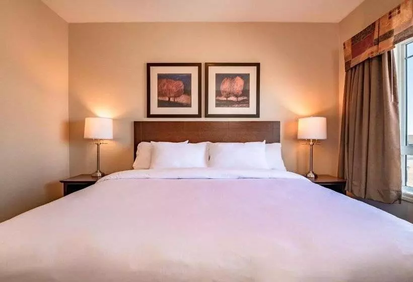 酒店 Canalta High River