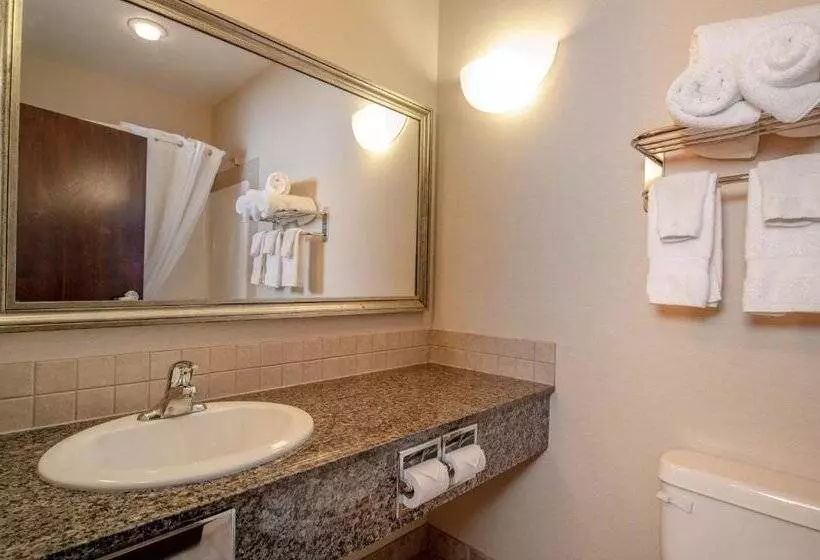 酒店 Canalta High River