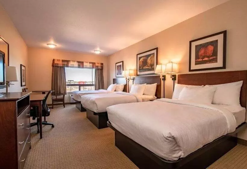 酒店 Canalta High River