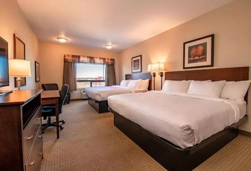 酒店 Canalta High River