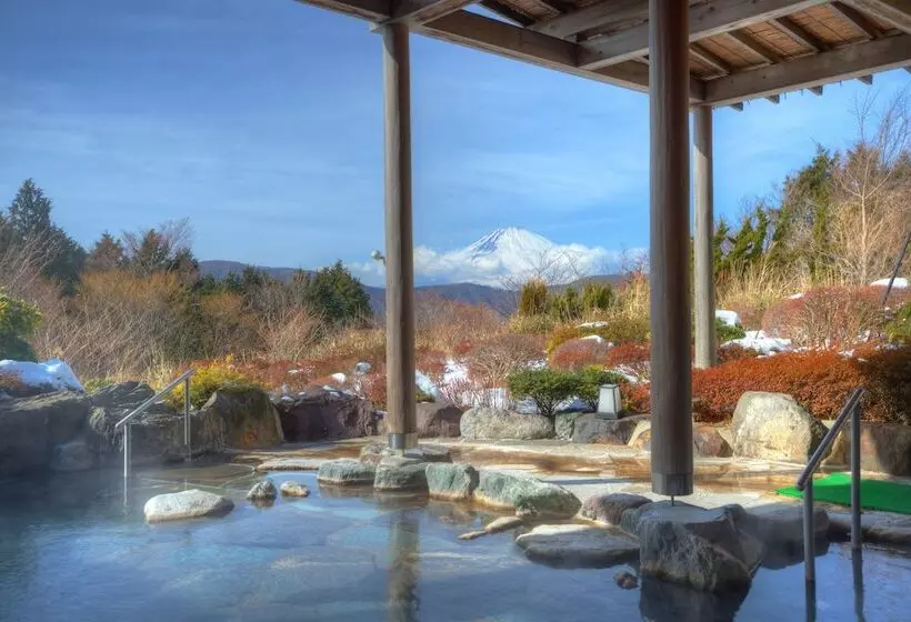 호텔 Green Plaza Hakone