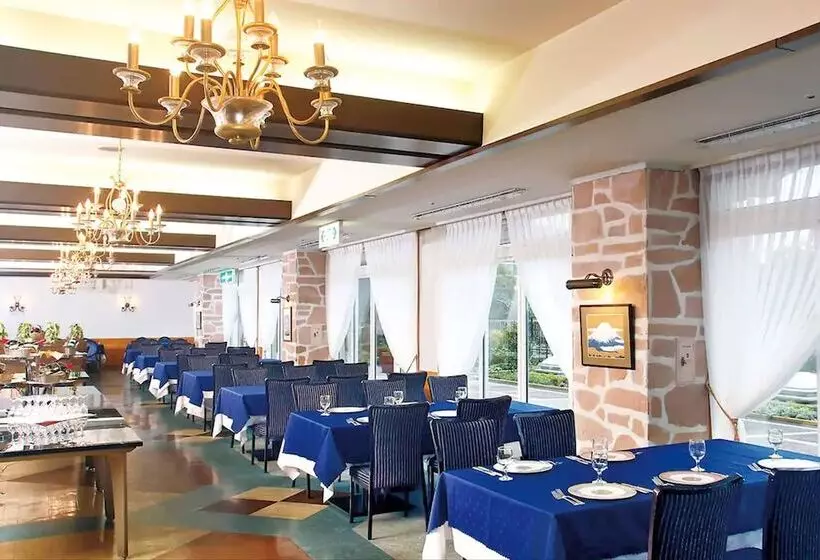 호텔 Green Plaza Hakone