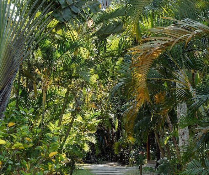 Vila Dos Orixás Boutique Hotel