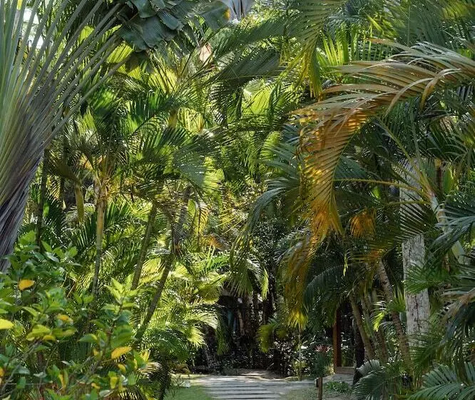 Vila Dos Orixás Boutique Hotel