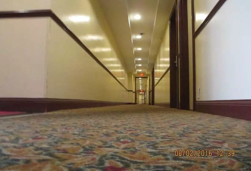 فندق على الطريق Regal Inn Chicago O Hare  Franklin Park