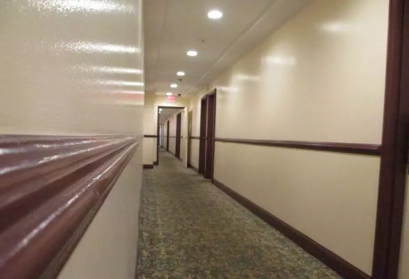 فندق على الطريق Regal Inn Chicago O Hare  Franklin Park