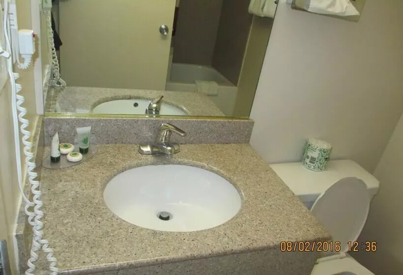 فندق على الطريق Regal Inn Chicago O Hare  Franklin Park