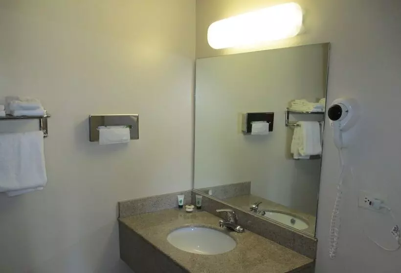 فندق على الطريق Regal Inn Chicago O Hare  Franklin Park