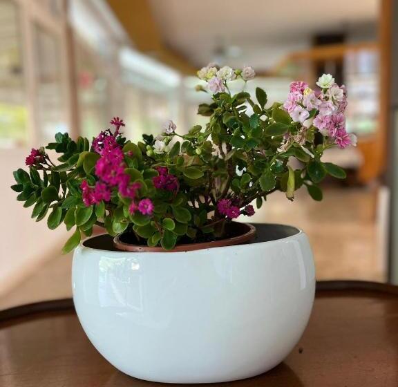 فندق Rosapineta   Adults Only