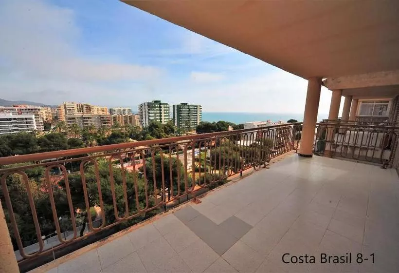 Costa Brasil Superior Orangecosta