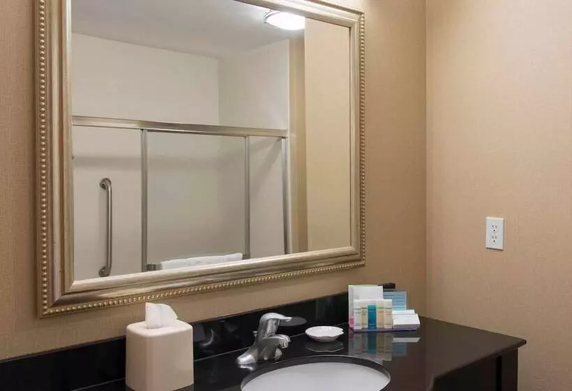 Hampton Inn & Suites Danville