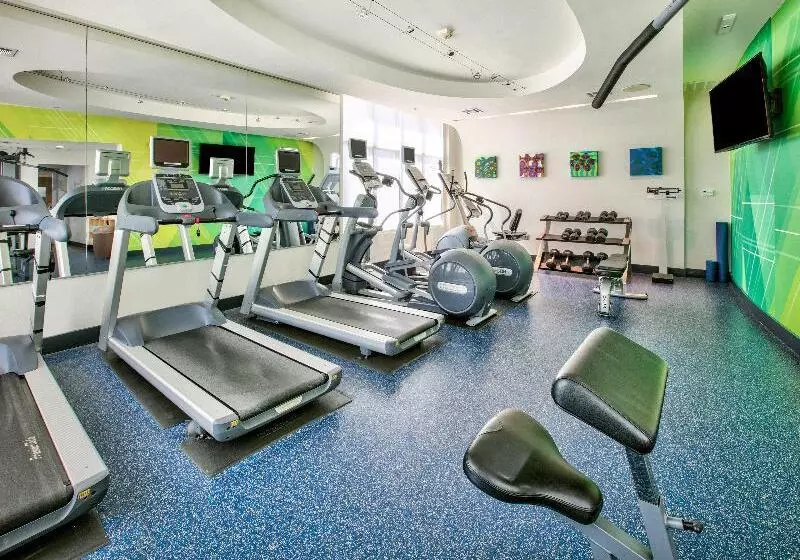 Hotel Holiday Inn Dallas   Fort Worth Airport South, An Ihg