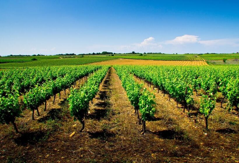 فندق Holiday Inn Express Montpellier Odysseum, An Ihg