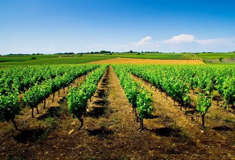 هتل Holiday Inn Express Montpellier   Odysseum, An Ihg