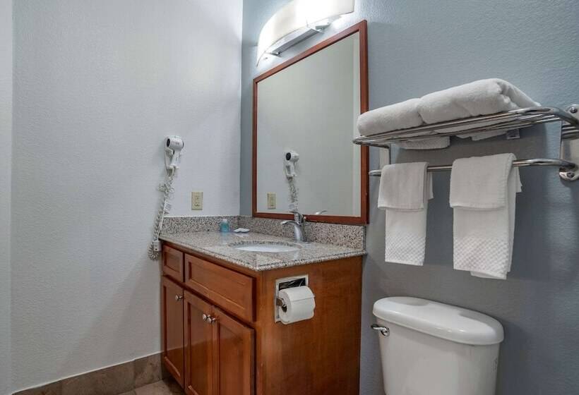 בית מלון כפרי Mainstay Suites Denham Springs  Baton Rouge East