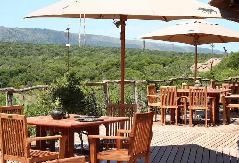 호텔 Pumba Private Game Reserve