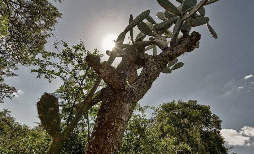 Hotel Pumba Private Game Reserve