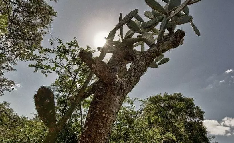 호텔 Pumba Private Game Reserve