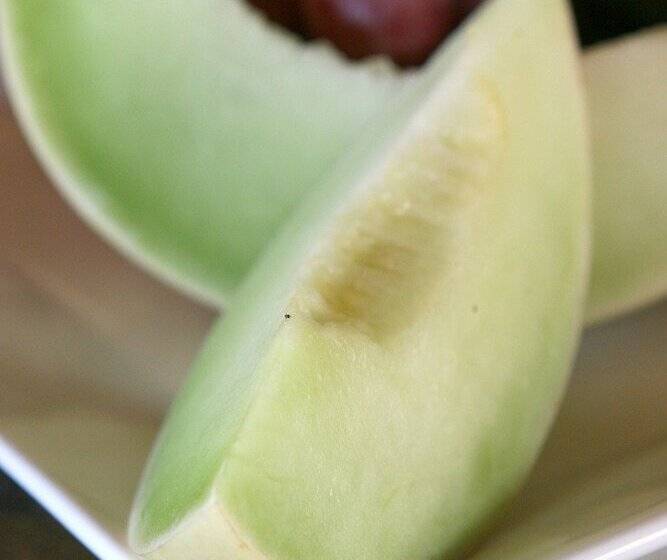 Hotel Pumba Private Game Reserve