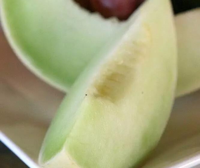 호텔 Pumba Private Game Reserve