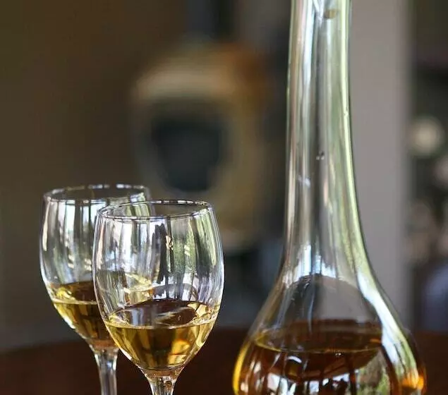 호텔 Pumba Private Game Reserve