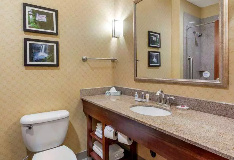 Hotel Comfort Suites Eugene