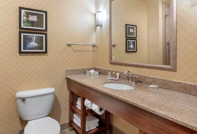 Hotel Comfort Suites Eugene