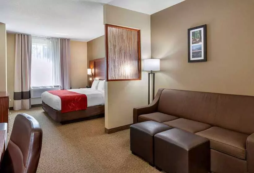Hotel Comfort Suites Eugene