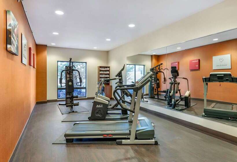 בית מלון כפרי Comfort Suites South