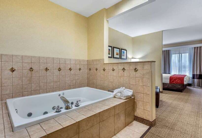 בית מלון כפרי Comfort Suites South